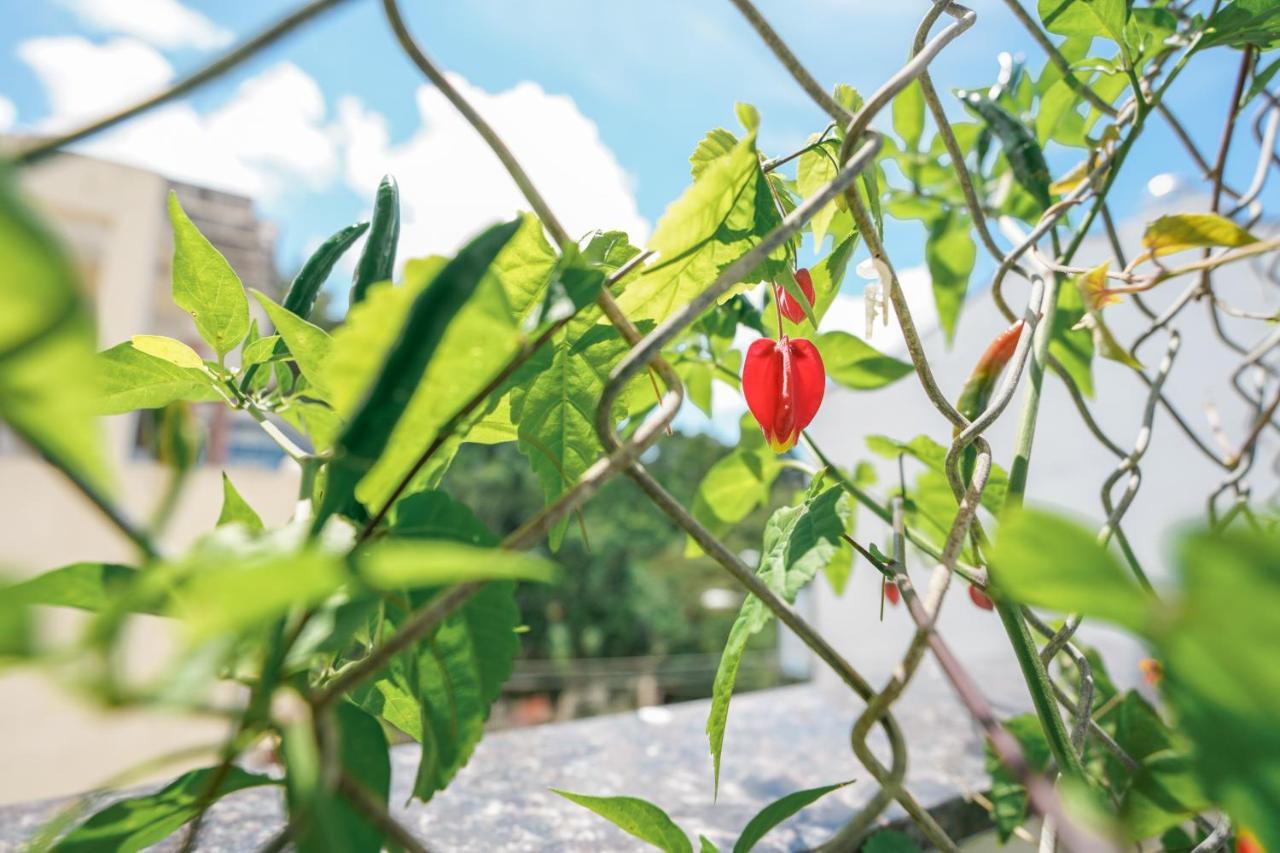 Khach San Thai Ha ダラット エクステリア 写真